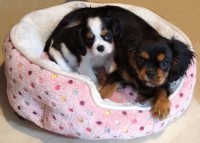 /album/fotogalerie/5-2-jpg/